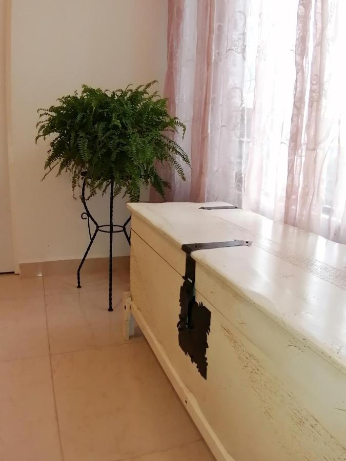 מקסיקו סיטי Departamento Alejandro - Completo Y Amplio Departamento En Una Zona Muy Tranquila De La Cdmx מראה חיצוני תמונה